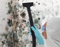 Best Mold Removal for HVAC Installations  in Gettysburg, PA